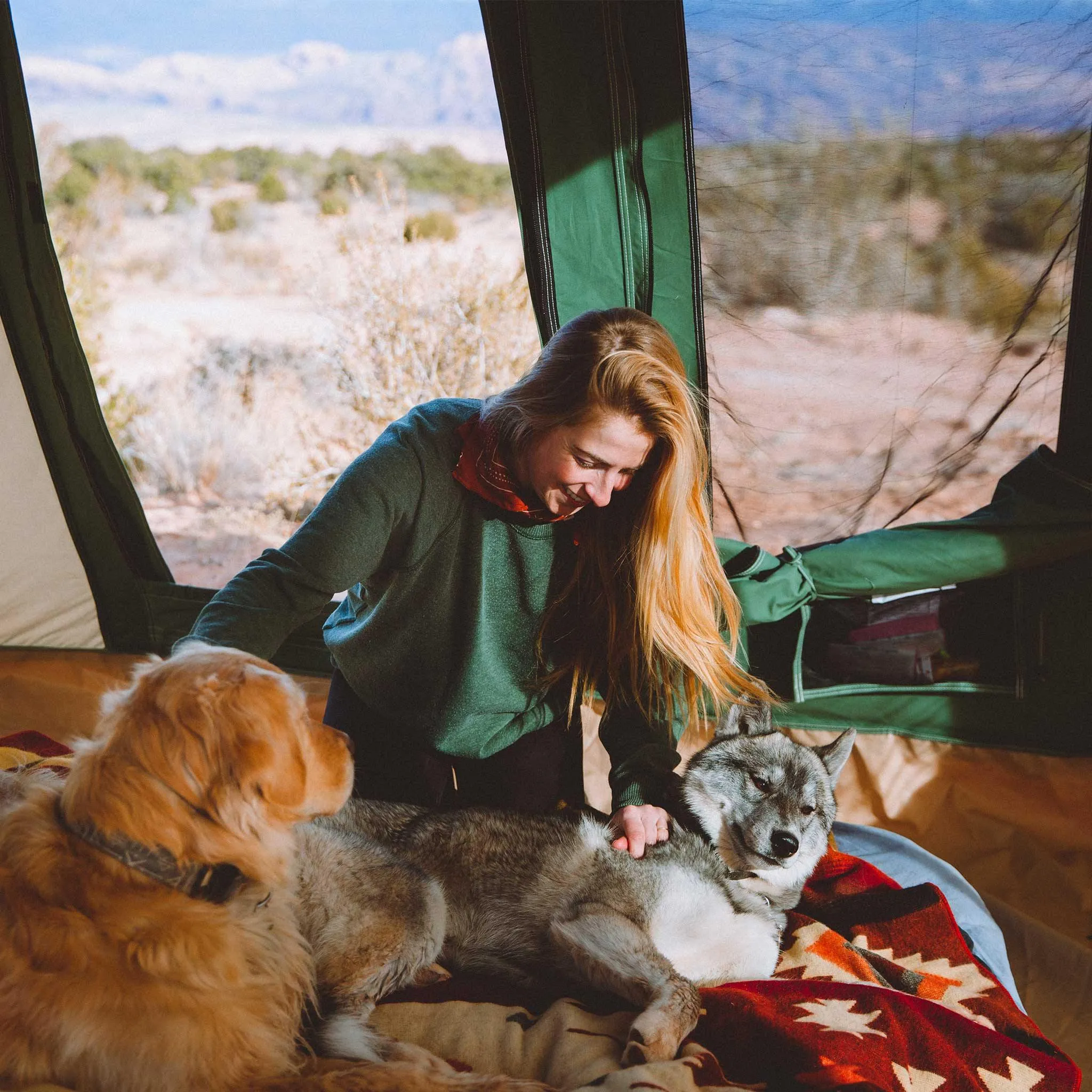 10'x10' Prota Canvas Tent