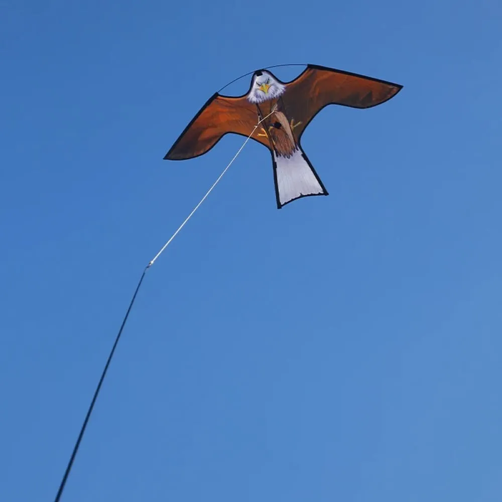 1.2 Drive Bird Eagle Kite for Garden Decoration Drive Bird in the Field for Garden Yard Farm Protect Plants