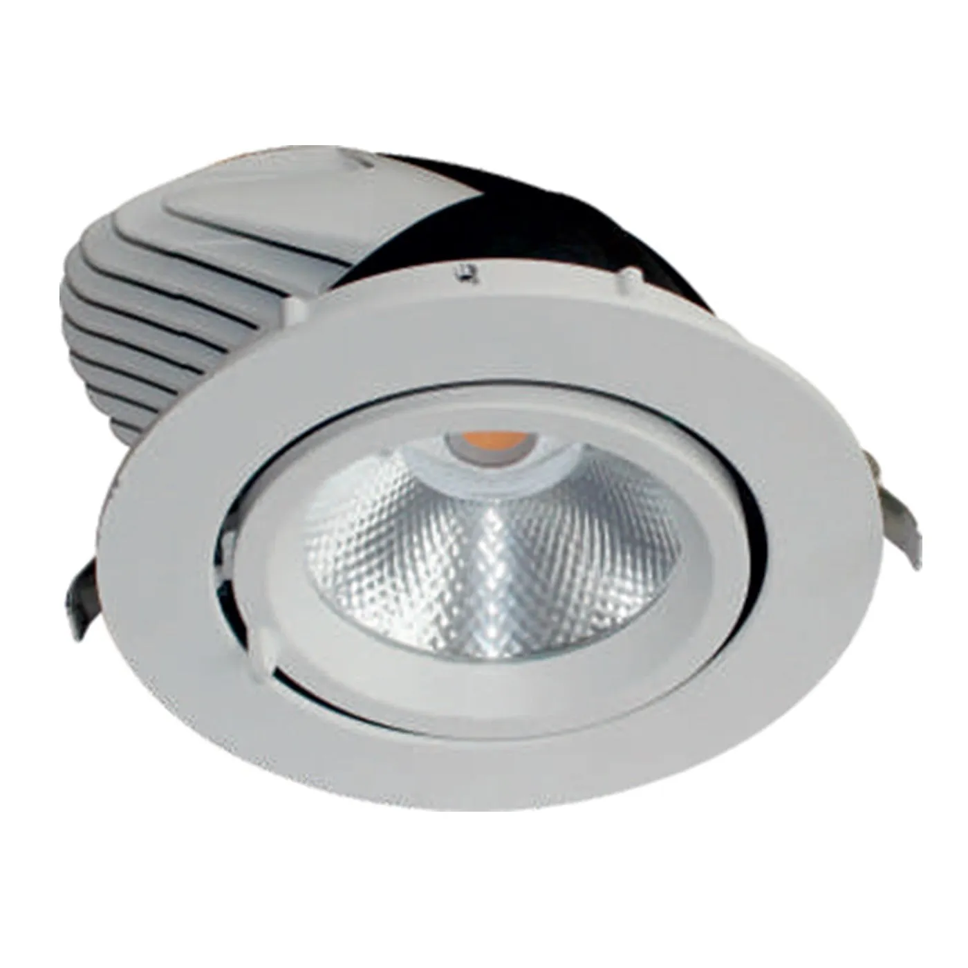 4206- 30w Cob Zoom