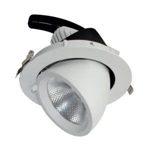 4206- 30w Cob Zoom