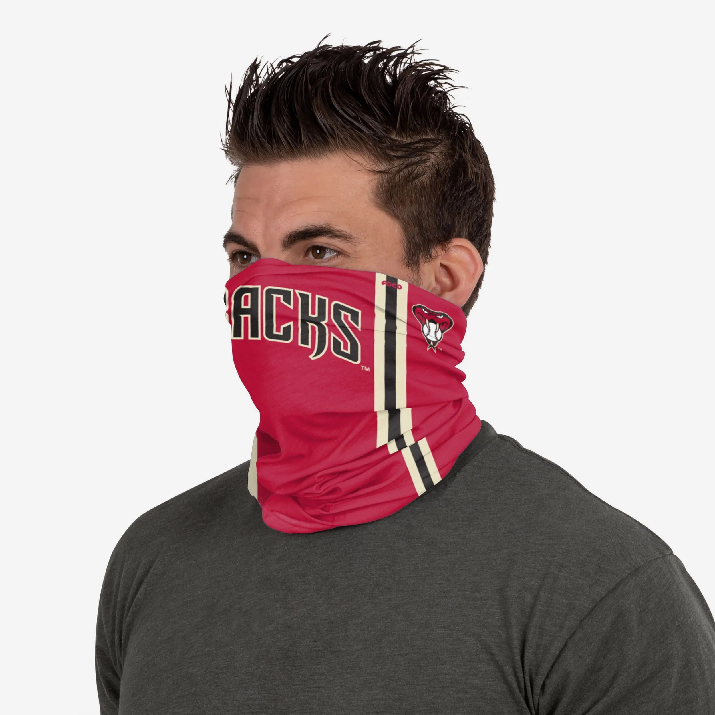 Arizona Diamondbacks Gameday Ready Gaiter Scarf