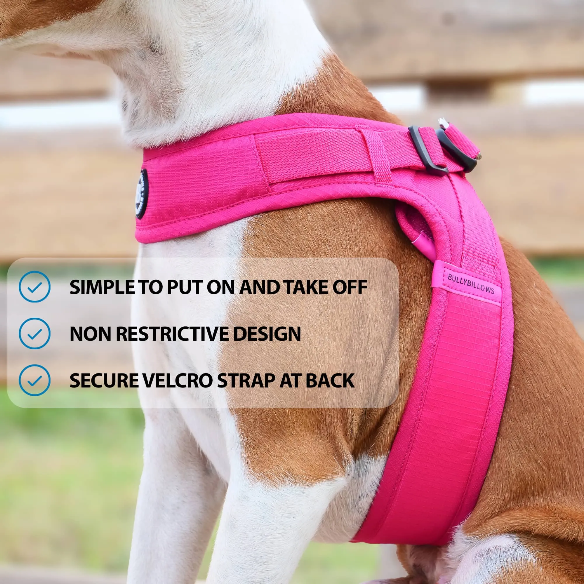 Boomerang Harness - XS-M Breeds - Olive Green