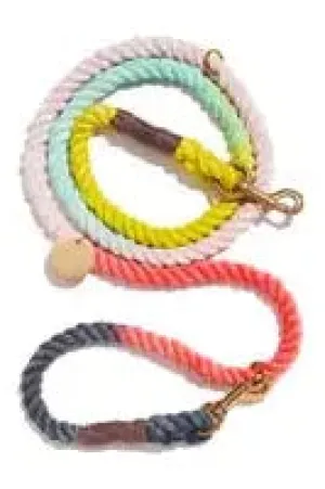 Citrus Tie Dyed Dog Leash