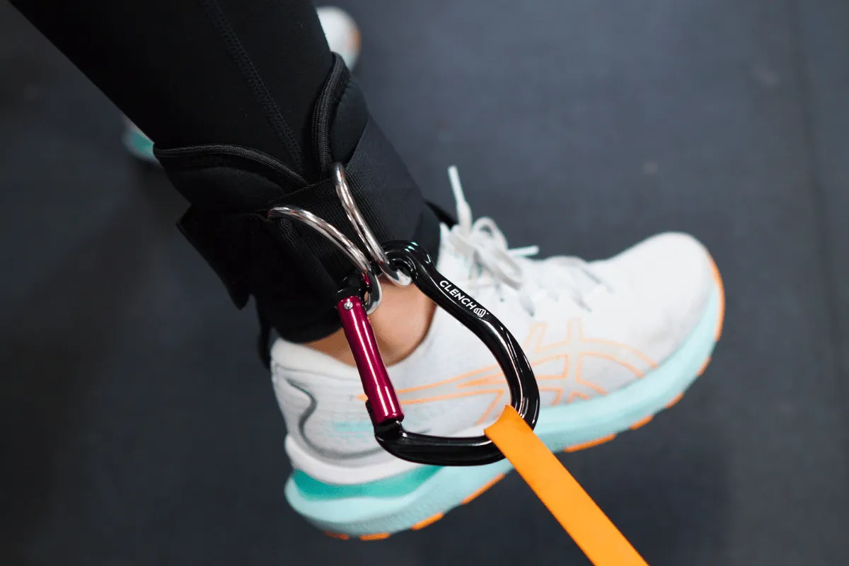 Clench Carabiners