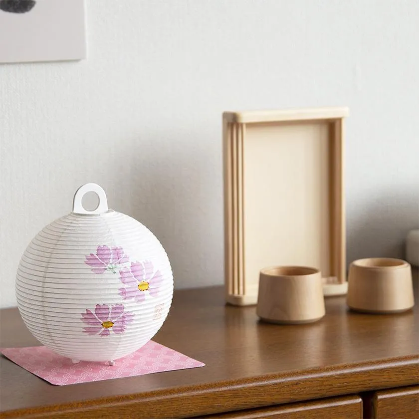 COSMOS, Letter Lantern, Gifu Chochin