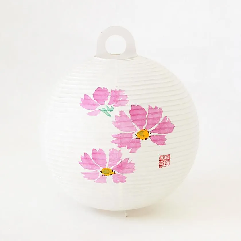 COSMOS, Letter Lantern, Gifu Chochin