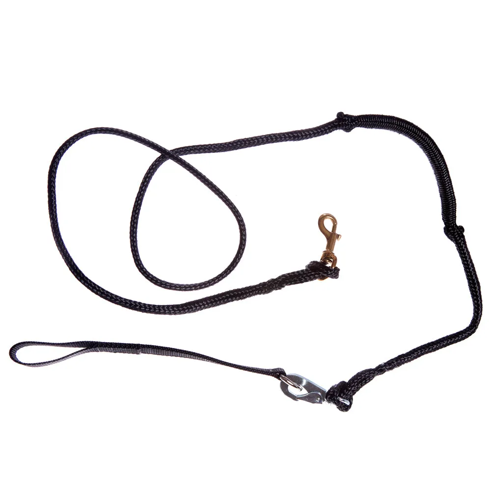 Deluxe Bikejor Bundle (1-Dog with 2-Dog Option)