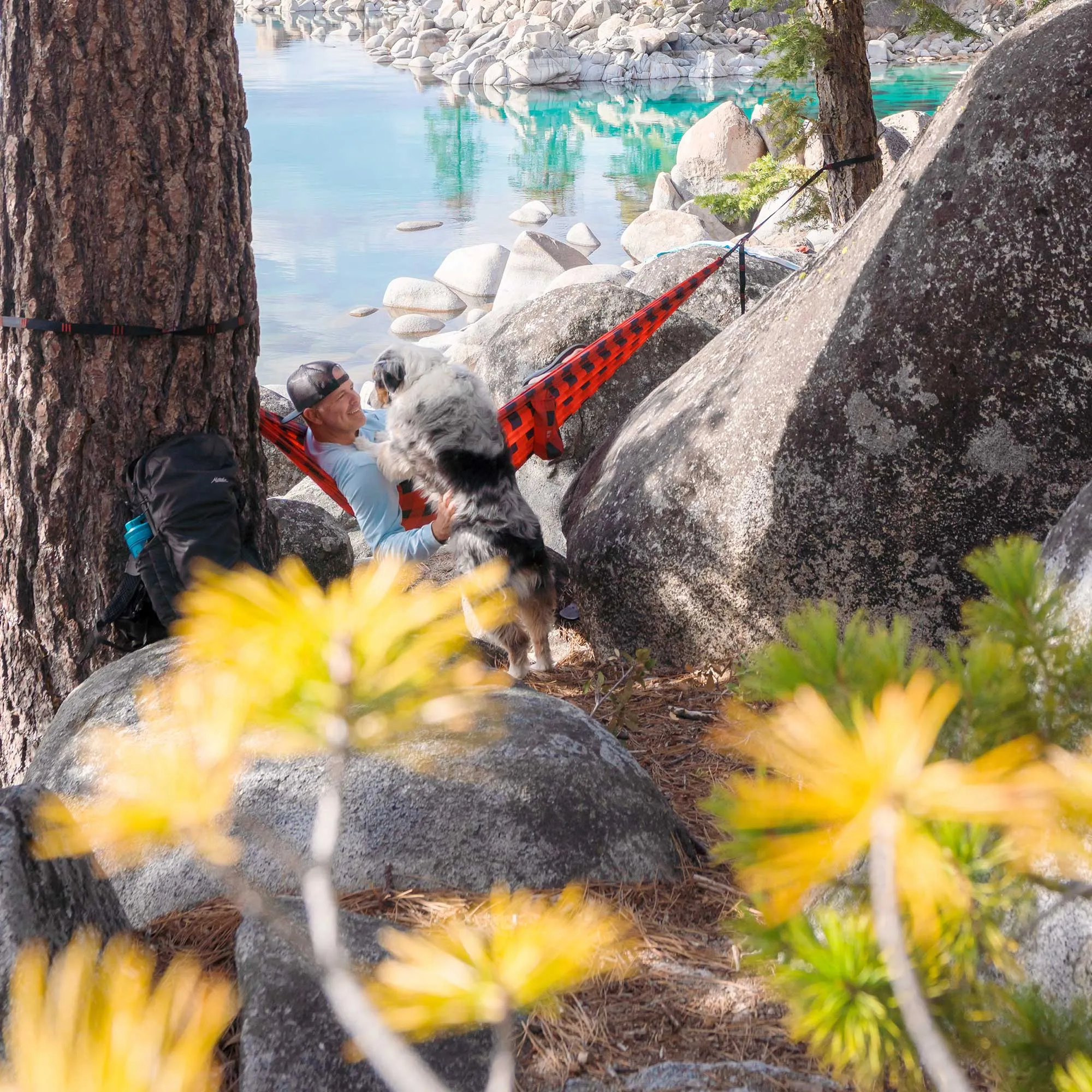 Double Deluxe Hammock with Suspension Straps | Prints