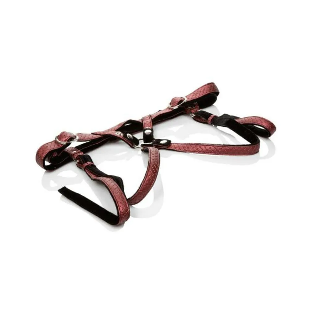 Her Royal Harness The Regal Duchess O/S Red