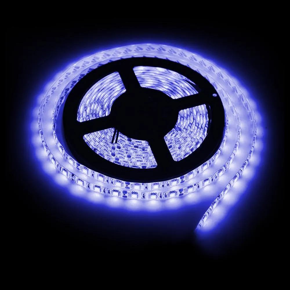 LED Waterproof Standard Tape Lights 12V DC 16 ft Reel