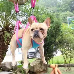 Pet Grooming Hammock or Sling Helper Dog or Cat Grooming Hammocks Restraint for Nail Trimming