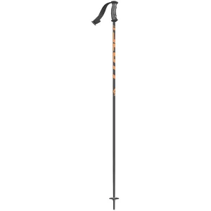 Punisher Junior Ski Poles