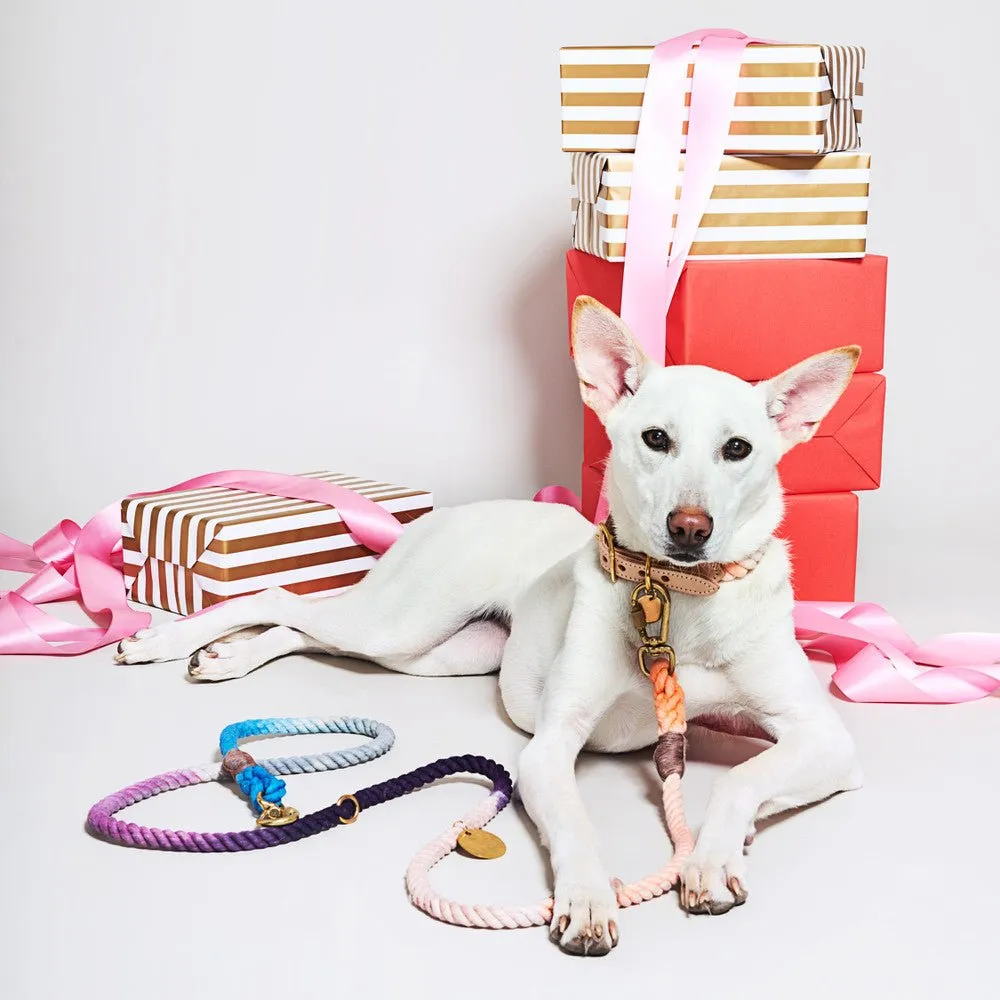 The Lois Ombre Cotton Rope Dog Leash, Adjustable
